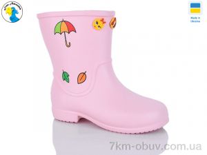 купить Jose Amorales 123155 оптом