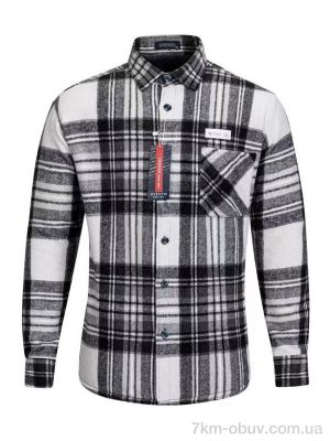 купить Verton W2505 grey оптом