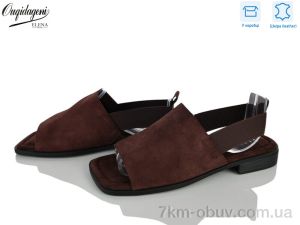 купить Dageni F2311-5 оптом