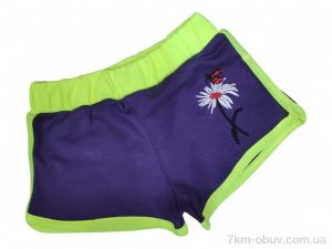 купить Kids-modnik 2336 фіолетовий оптом