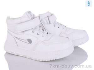 купить Victoria HY088-1 оптом