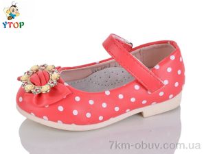 купить оптом Y.Top WL622-2