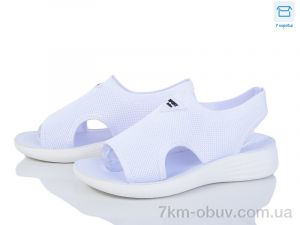 купить Moli L59-3 оптом