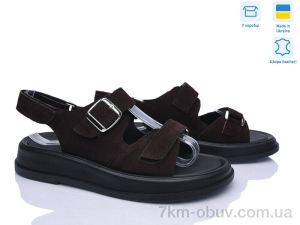 купить Ailinda 419-44 оптом