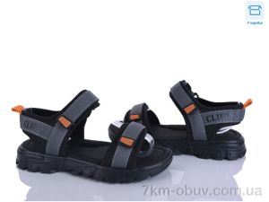 купить Clibee-ShoSho AC703-4 оптом