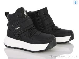 купить Clibee-ShoSho KC513 black оптом