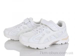 купить KIMBOO CJ603-3C оптом