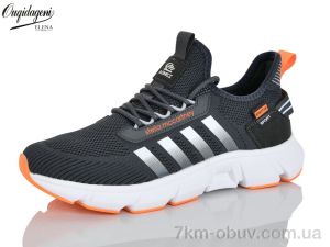 купить Dageni A2391-3 оптом