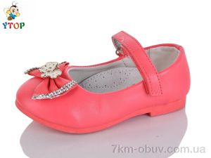 купить оптом Y.Top W702-2