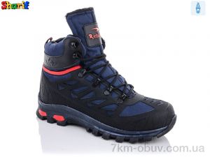 купить Sharif 3040-5 (40-44) оптом