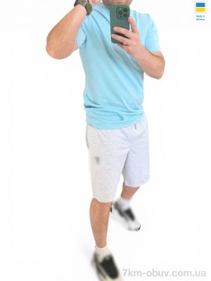 купить Alisa Brand 2097 блакитно-меланжевий оптом