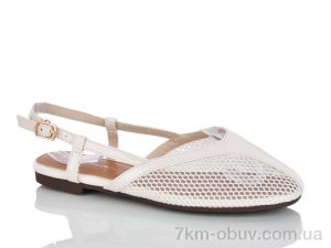 купить Loretta E705-3 оптом