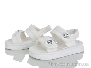 купить KIMBOO FG613-2C оптом