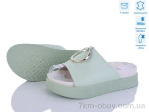 купить Захар-Gold O1494-6 піна оптом