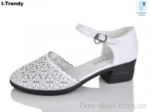 купить Trendy WL2031-2 оптом