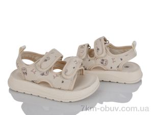 купить KIMBOO XD616-2M оптом