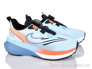 купить Lion-Lu B0038-1 оптом