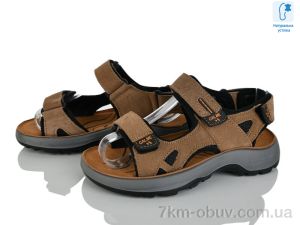 купить оптом KIMBOO T67-3K