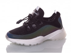 купить Paliament BT1897 оптом