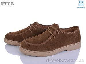 купить ITTS 172-6 оптом