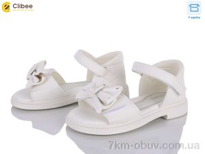 купить оптом Clibee ZC173-2