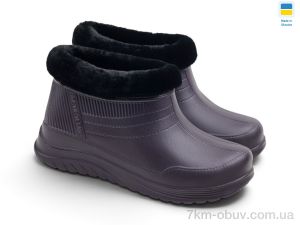 купить оптом Rai shoes D-39-1F фіолетовий