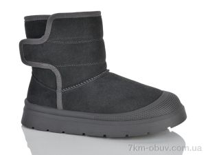 купить DINO ALBAT V033-17 grey оптом
