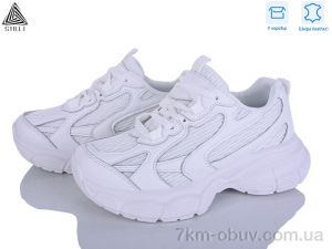 купить STILLI Group S100-1 шкіра оптом