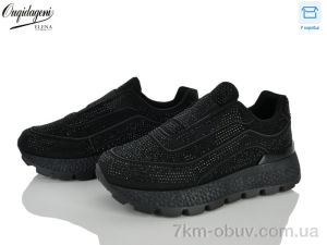 купить оптом Dageni M98027-1