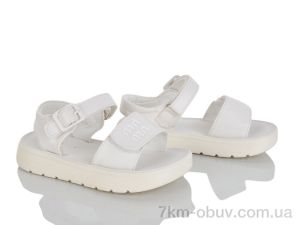 купить оптом KIMBOO XD609-2C