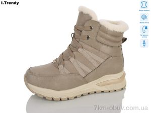 купить Trendy DH3920-18 оптом