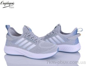 купить Dageni B2526-14 оптом