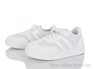 купить KIMBOO RL604-3C оптом