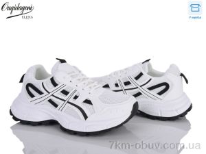 купить оптом Dageni A6008-12