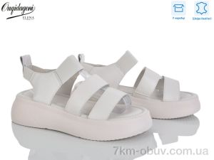 купить Dageni F233-3 оптом