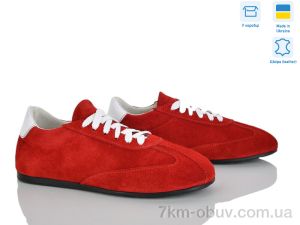 купить Ailinda 423-19 оптом