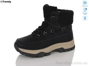купить Trendy DH5001-1 оптом