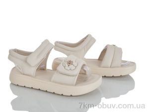 купить KIMBOO XD607-3M оптом