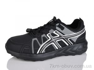 купить Moli B8023-2 оптом