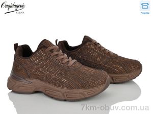 купить оптом Dageni M98026-5