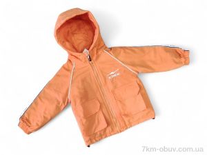 купить Kids-modnik 22-10 помаранчевий оптом