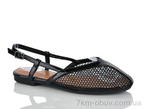 купить Loretta E705-1 оптом