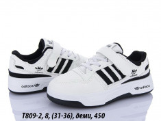 купить оптом LQD T809-2