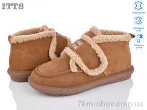 купить ITTS DX11-45 оптом