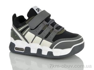 купить ASHIGULI 55-2 оптом