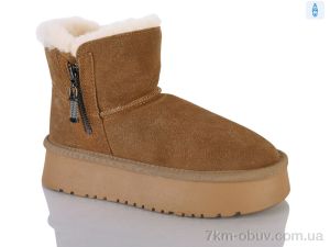купить оптом DINO ALBAT P1273-2 camel