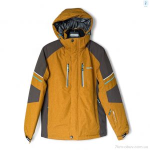 купить Audsa A25063-2 brown оптом