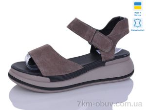 купить Botema 205-7 оптом