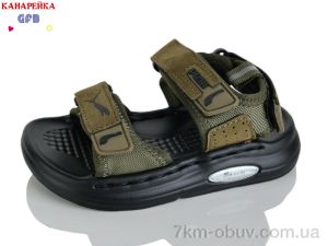 купить GFB-Канарейка T66-5 оптом