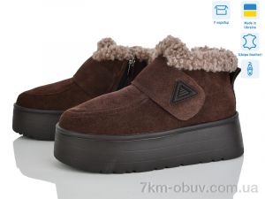 купить Stella EVA37 кор.з. оптом